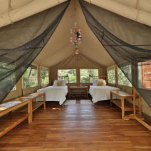 Canopy Camp