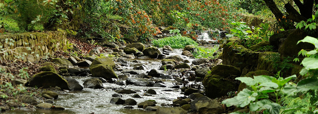 Canopy Lodge Panama Rainforest river