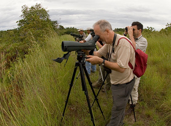 Trip reports from visitors to the Canopy Family locations
