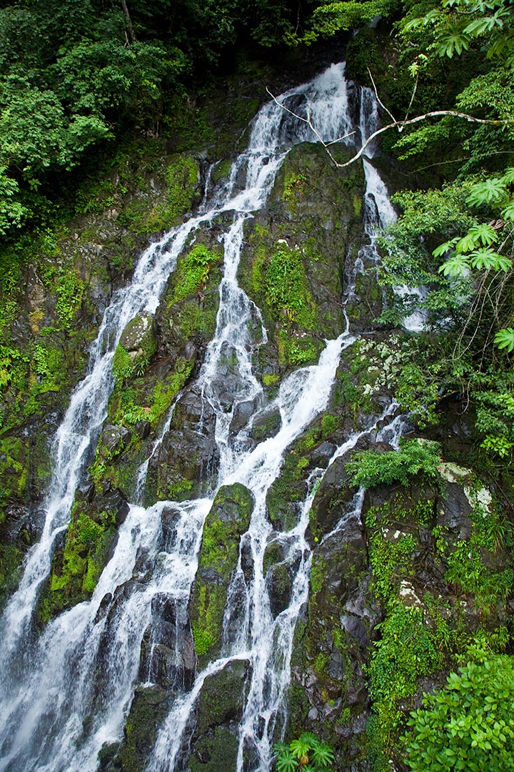 Chorro El Macho Waterfall near Canopy Lodge