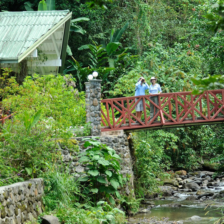 Visit the Canopy Lodge for a morning Day Visit