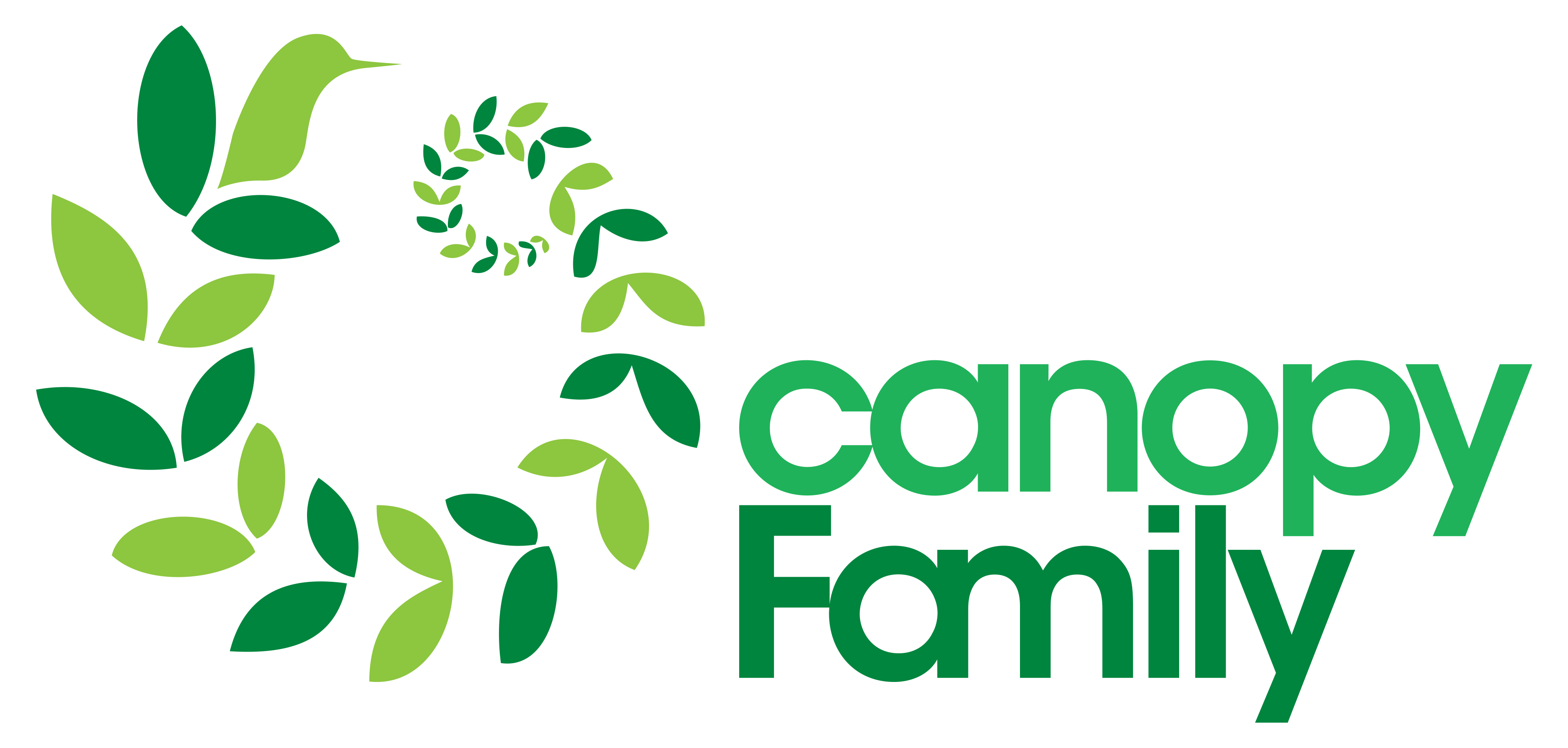 Birds The Canopy Family