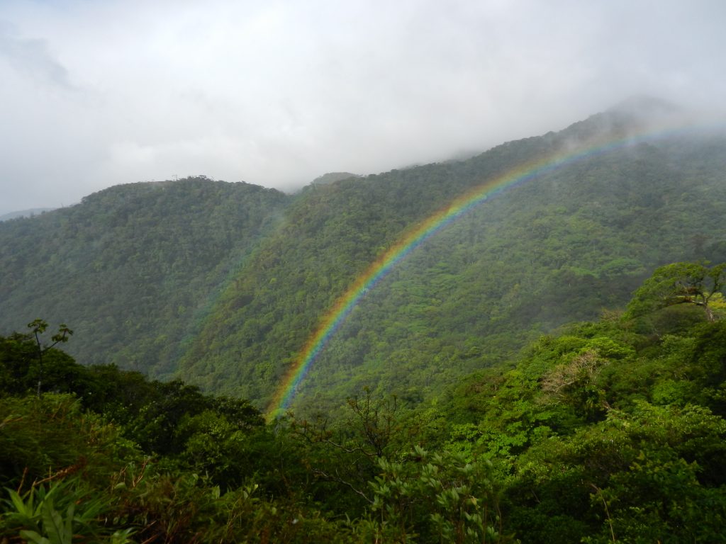 Panama Rainbow